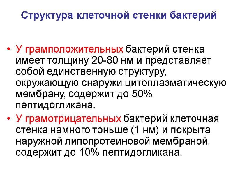 Структура клеточной стенки бактерий  У грамположительных бактерий стенка имеет толщину 20-80 нм и